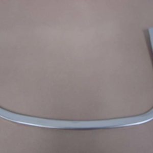 A8419D Grill Moulding