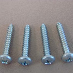 DHK2122 Park Light Lens Screws (4 Pieces)