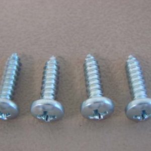 DHK9051 Back Up Lamp Lens Screws (4 Pieces)