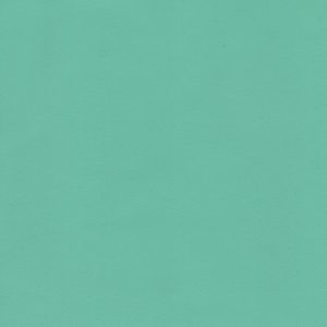 MVI5512 Vinyl, Light Green Haircell