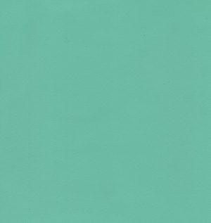 MVI5512 Vinyl, Light Green Haircell