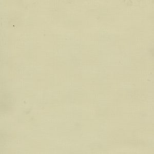 MVI5613 Vinyl, White Gabardine