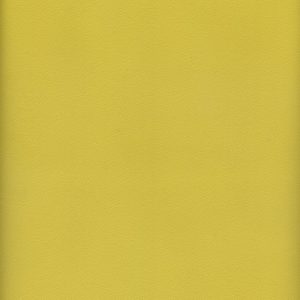 MVI5506 Vinyl, Yellow Haircell