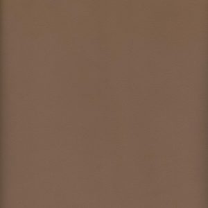 MVI5511 Vinyl, Tan Haircell