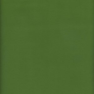 MVI5603 Vinyl, Sage Green Haircell