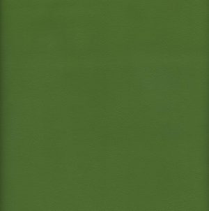 MVI5603 Vinyl, Sage Green Haircell