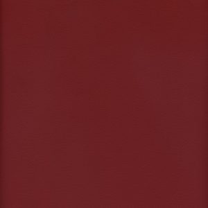 MVI5605 Vinyl, Red Haircell