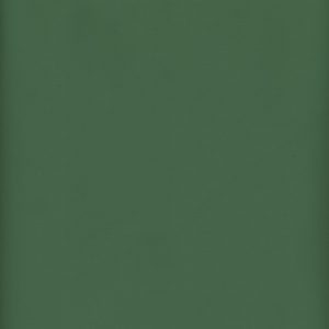 MVI5608 Vinyl, Light Green Haircell