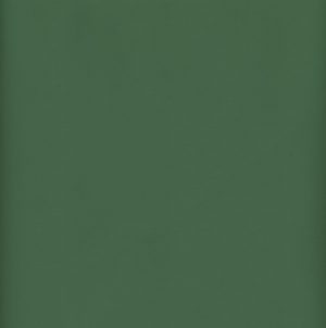 MVI5608 Vinyl, Light Green Haircell