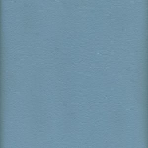 MVI5702 Vinyl, Light Blue Floridian