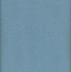 MVI5702 Vinyl, Light Blue Floridian