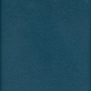 MVI5703 Vinyl, Medium Blue Floridian