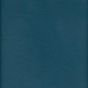 MVI5703 Vinyl, Medium Blue Floridian