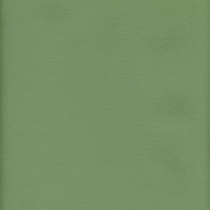 MVI5705 Vinyl, Light Green Floridian