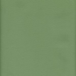 MVI5705 Vinyl, Light Green Floridian