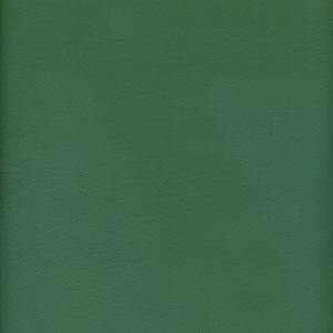 MVI5706 Vinyl, Medium Green Floridian