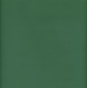 MVI5706 Vinyl, Medium Green Floridian