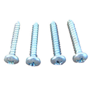 DHK2122 Park Light Lens Screws (4 Pieces)